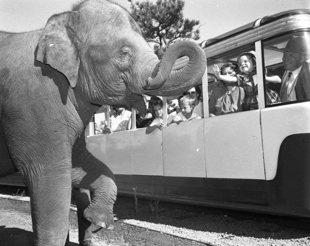 1951 Sept 30 Mountaineer & Zoo Carolyn Sue Travis (2)